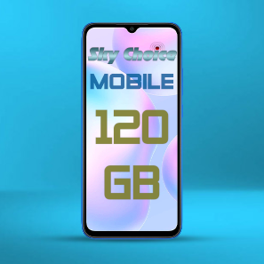 MobPhonePlanLogo_120GB.png