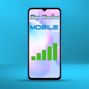 TickTockSmartphone1.jpg